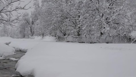 Bu günün hava PROQNOZU