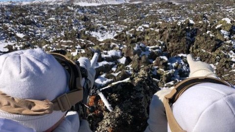 Türkiyə daha 3 terrorçunu zərərsizləşdirdi