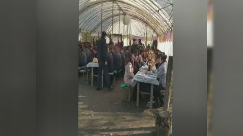 Qəbələdə toy təşkilatçıları cərimələndi