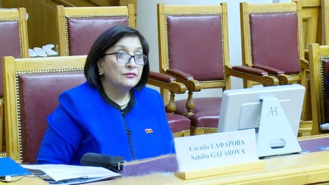 Sahibə Qafarova beynəlxalq konfransda ÇIXIŞ ETDİ
