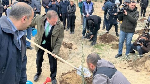 ABŞ səfirliyi azərbaycanlı əməkdaşlarının şərəfinə zeytun ağacları əkdi - FOTO