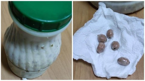 Təcridxanaya dovğanın içində narkotik keçirmək istədilər
