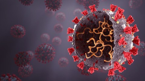 Gürcüstanda virus mənzərəsi
