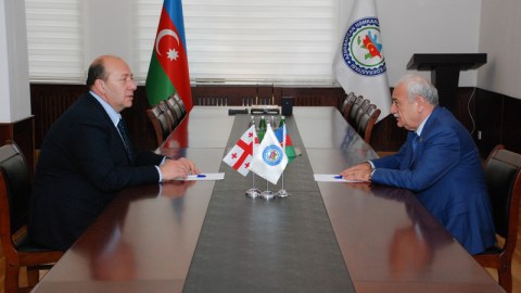 Səttar Möhbalıyev gürcüstanlı həmkarı ilə görüşdü