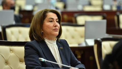 Nailiyyətlərimiz beynəlxalq qurumların diqqətindədir