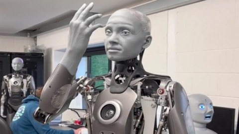 Ən yaxşı təqlid edən robot - Video