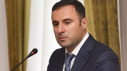 Gürcüstanın keçmiş nazir müavininə cinayət işi açıldı