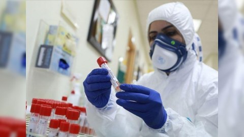 Gürcüstanda koronavirus