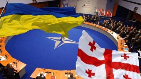Gürcüstan və Ukraynanın NATO-ya daxil olması üçün şərtlər