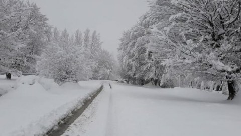 Bakıda 1, rayonlarda 17 dərəcə şaxta var - FAKTİKİ HAVA