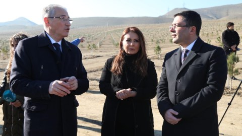 Prezidentin yubileyinə həsr olunan ağacəkmə aksiyası - FOTO