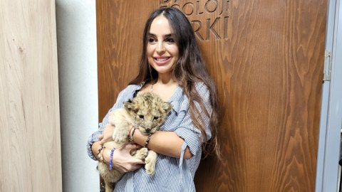 Bakı Zooparkında şir balası DOĞULDU