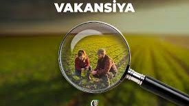 Bu nazirlikdə 308 vakant iş yeri var