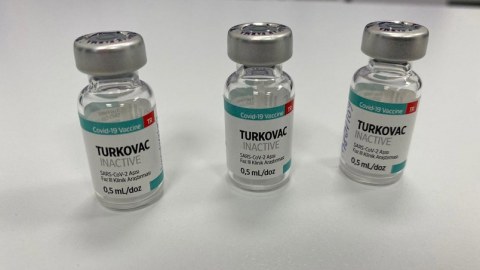 Azərbaycanda Turkovac vaksini sınaqdan keçiriləcək