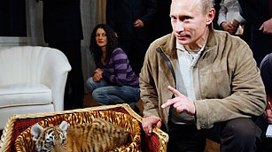 Pələng ili üçün “Putin düyünü”