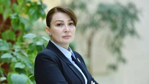 2021-ci ildə parlament yüzlərlə qanun qəbul etdi - Jalə Əhmədova