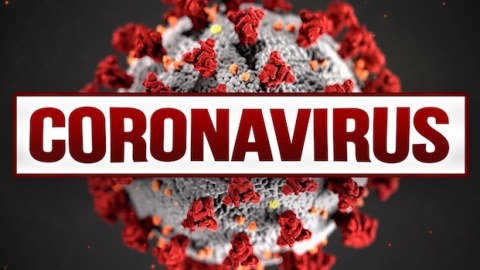 Yaponlar iş başında: ömürlük immunitet vaksini...