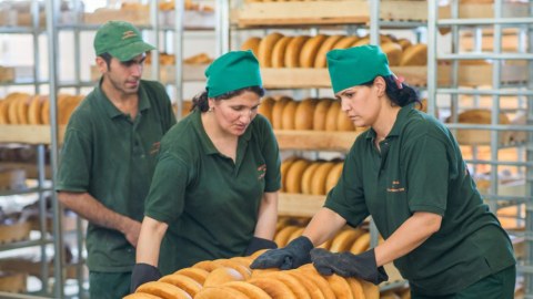 Azərbaycanın un və çörək istehsalçıları bahalaşmanı ELAN ETDİLƏR