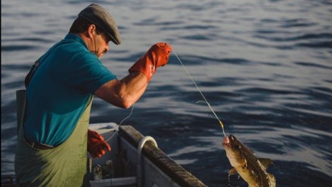 Qanunsuz balıq ovlayan şəxs cəzalandırıldı