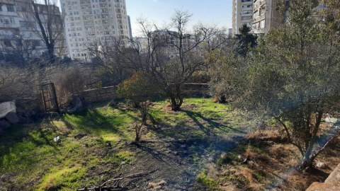 Ağacların zədələnməsi ARAŞDIRILIR