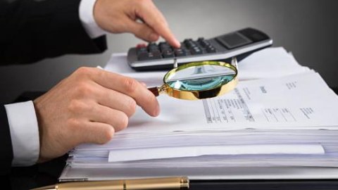 DOST agentliyi auditor seçir