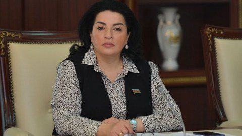 “AMEA cılız siyasi məqsədlərə xidmət etməməlidir” - Deputat