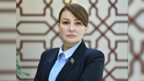 “Deputatlara qarşı əsassız ittihamlarla çıxış etmək Ramiz Mehdiyevə başucalığı gətirmir”