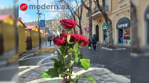 Bakının Sevgililər Günü - REPORTAJ