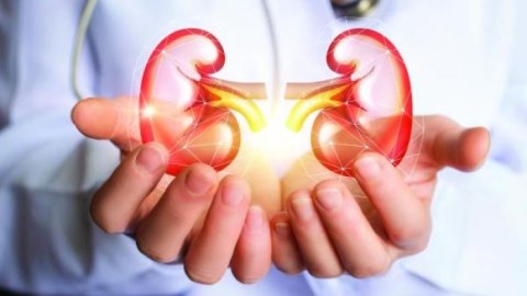 Böyrək transplantasiyasında növbələr var - Komitə sədri