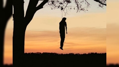 Özünü ağacdan asan kişinin intiharı ARAŞDIRILIR