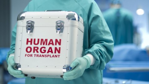 Donor orqanların idxal-ixracı qaydası hazırlanır