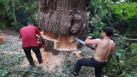 Bu faktlara görə 5 cinayət işi AÇILDI