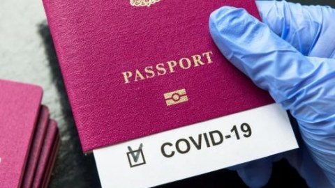 101 nəfərə saxta pasport verən şirkət rəhbərilə bağlı yeni qərar