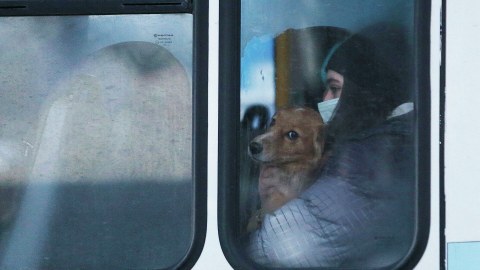 Rusiyanın daha bir vilayətində fövqəladə vəziyyət tətbiq edildi