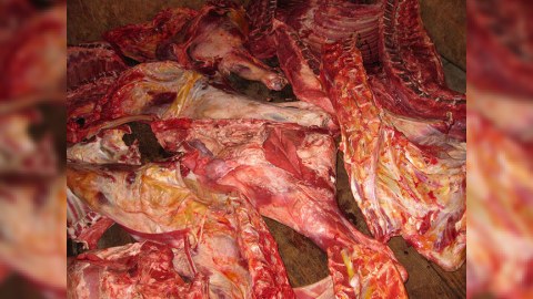 200 kiloqram leş əti aşkarlandı