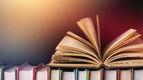 Professor elmi adları universitetlərin verməsini TƏKLİF ETDİ