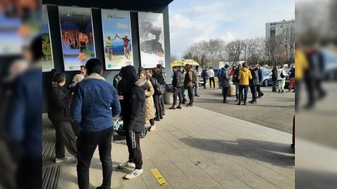 Rumıniyaya gələn azərbaycanlılar üçün pulsuz aviareyslər ayrıldı