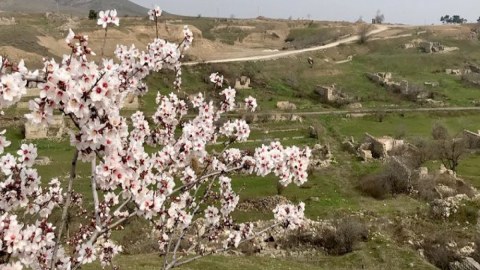 Britaniya səfiri Cəbrayıldan paylaşım etdi