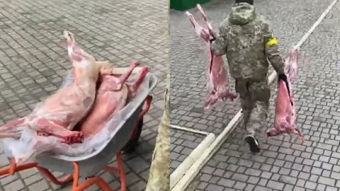 Azərbaycanlı gənc Ukrayna ordusuna ət yardımı edib - VİDEO