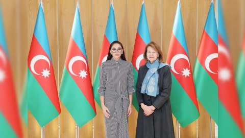 Mehriban Əliyeva Britaniyanın ticarət elçisi ilə görüşdü - FOTOLAR