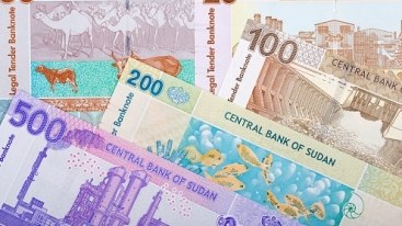 Sudanın maliyyə sistemi çökdü