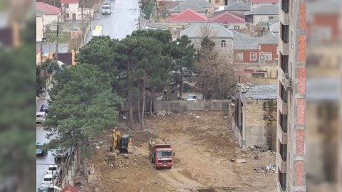 Xırdalanda tikinti şirkəti ağacları kəsdi - FOTOLAR