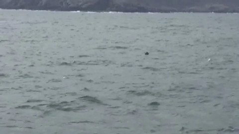 İstanbul boğazında mina təhlükəsi