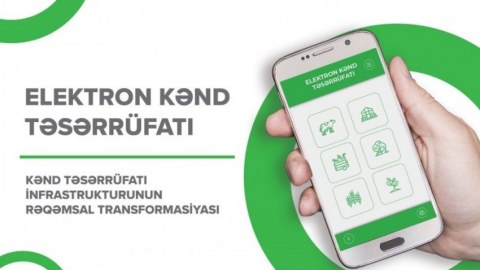 150-dən çox toxumçuluq təsərrüfatı qeydiyyatdan keçib