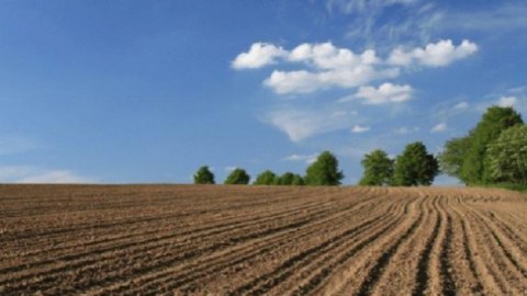 Baş nazirdən pay torpaqları ilə bağlı QƏRAR