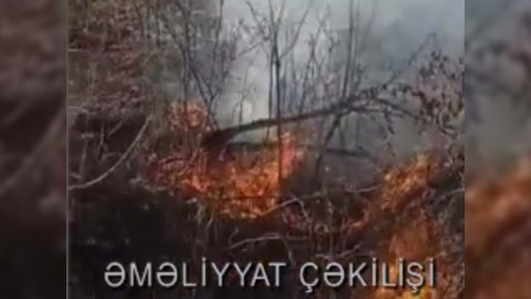 Oğuzda meşə yanğını söndürülüb - VİDEO
