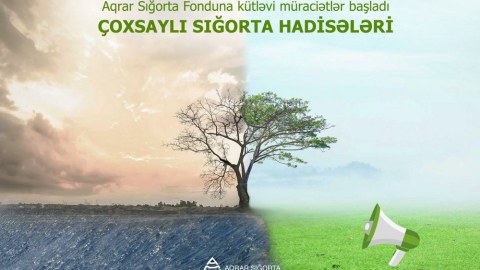 Müraciətlər ekspertlərin iştirakı ilə araşdırılır