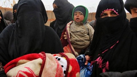 İraq və Suriyadan gətirilən 7 nəfərin son durumu AÇIQLANDI