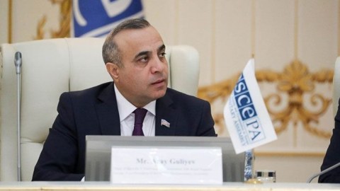 Deputat ATƏT PA-nın iclasında iştirak edəcək