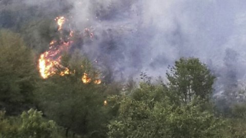 Oğuzda meşə yanır